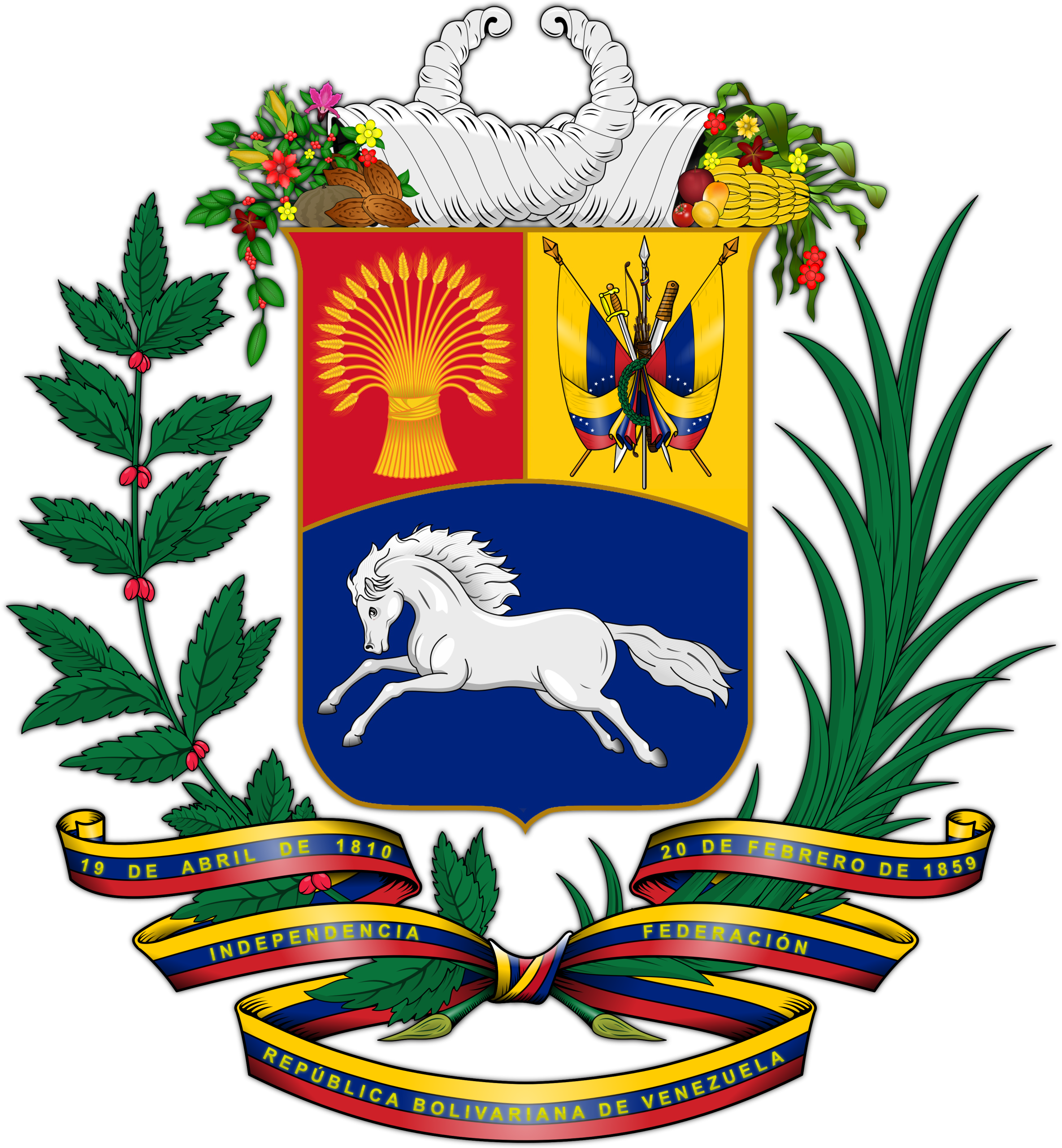 Best IPTV Subscription in Venezuela