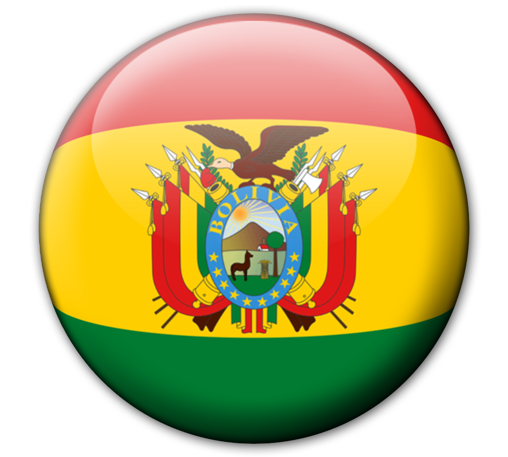 Flag of Bolivia12
